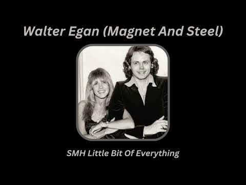 Walter Egan w/Stevie Nicks (Background Vocals)~Magnet and Steel