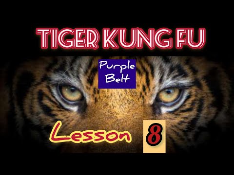 learning kung fu at small space / tiger claw , creative kung fu / 虎拳