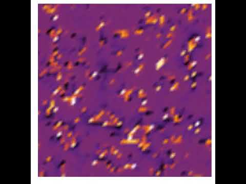 基礎理工学科 Coupled excitable map lattice
