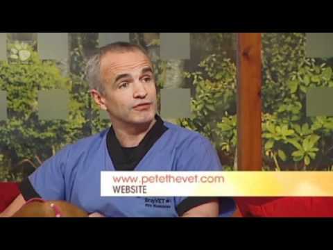 Pete The Vet Speaks About Lennox & BSL