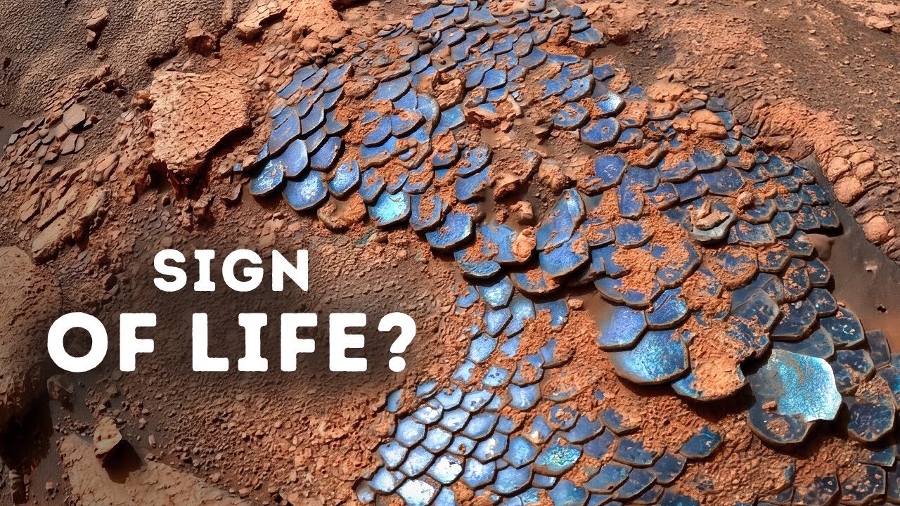 NASA Found Something That Looks Like a Giant Reptile on Mars