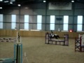 Mare For SALE
