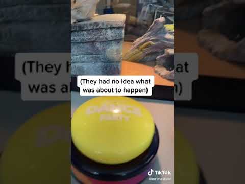 30 SECOND DANCE PARTY