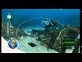 Endless Ocean Blue World Trailer