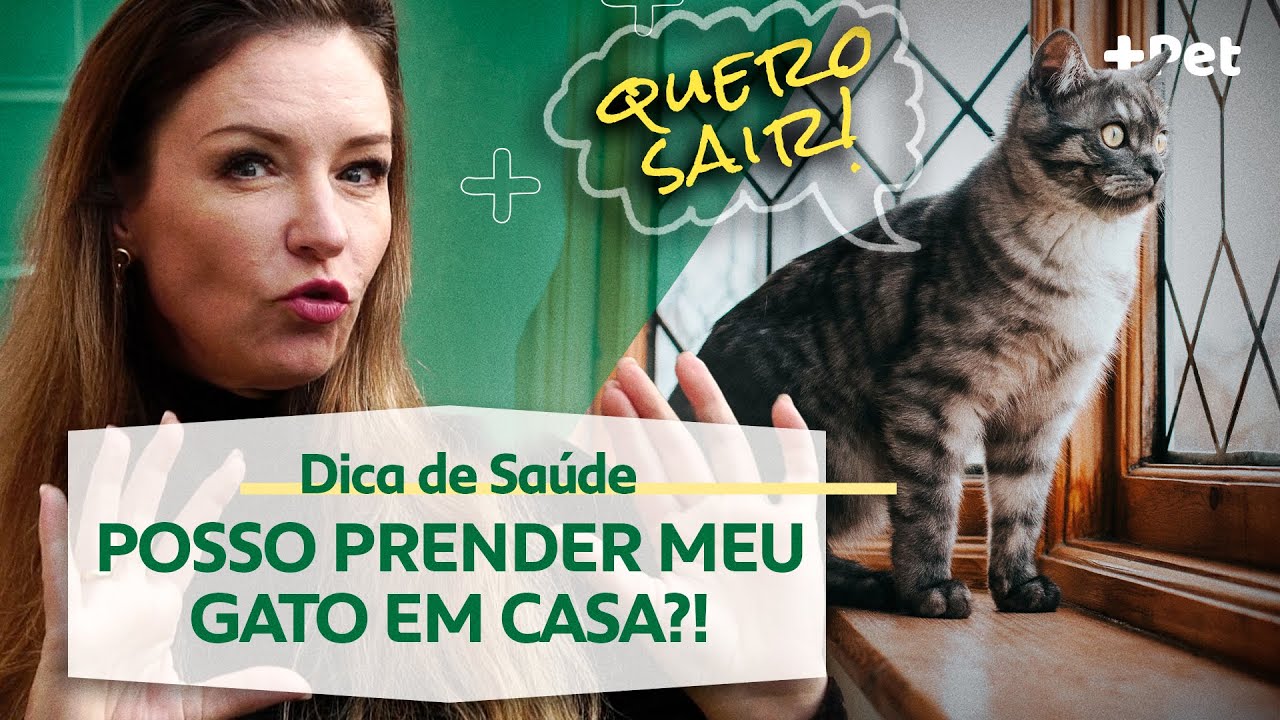 PRENDER O GATO EM CASA, FAZ MAL PRA ELE? | CANAL MAIS PET