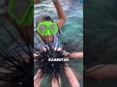 Mamma, è un rambutan o un riccio di mare? #shortvideo