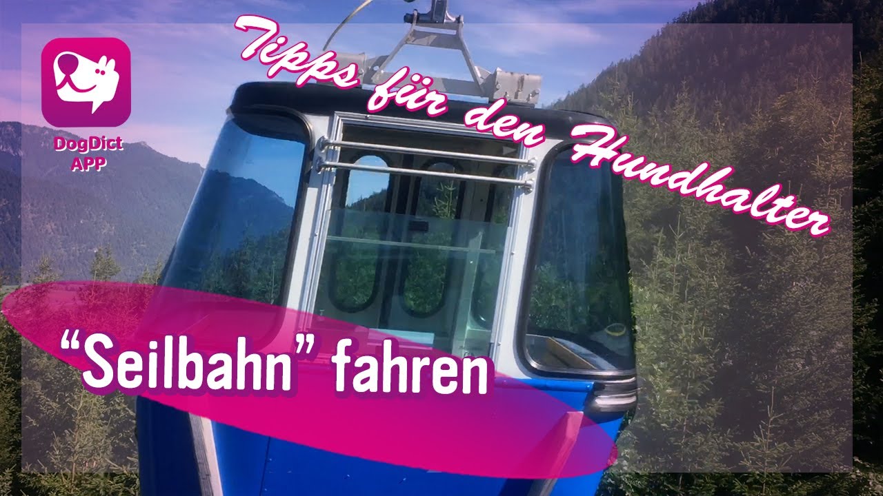 Folge 24: Seilbahn - Tipps für den Hund