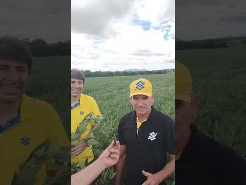 Crop Tour Trilhas da Produção 2026 - Avaliação em Minas Gerais é iniciada em Paracatu e Guarda Mor