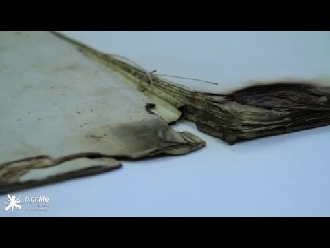 YouTube Video Preview