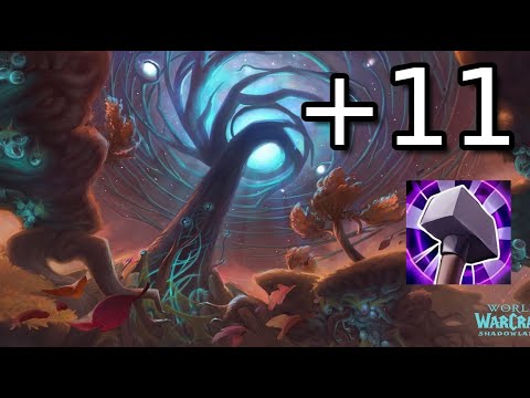 Mists of Tirna Scithe +11