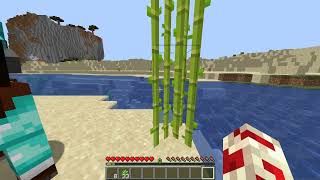 4 block sugar cane