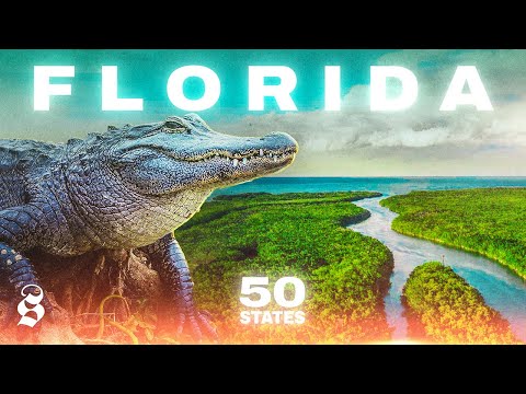 Lo stato del sole (e degli uragani): la FLORIDA