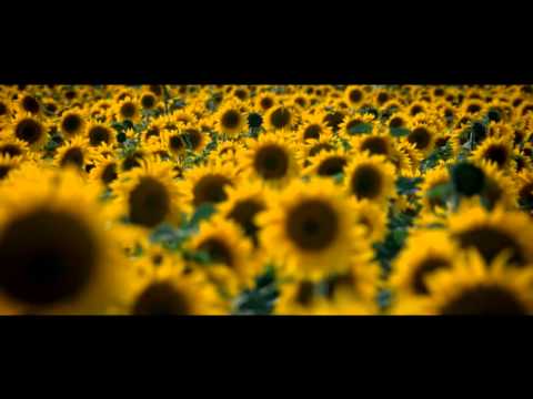 News Channel Morning Edition: Dec. 11, 2013