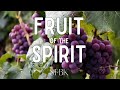 24 08 2025 Fruit Of The Spirit Gentleness STBK Church Live Stream