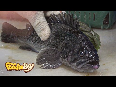 download lagu mp3 mp4 Korean Food Fish, download lagu Korean Food Fish gratis, unduh video klip Korean Food Fish
