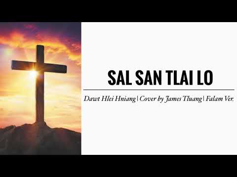 Sal San Tlai Lo || James Tluang (Cover) || KARAOKE