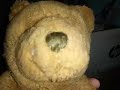 Bear Watches The THX Logo