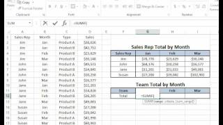 Totaling Sales Based Upon One Specific Criteria (Using SUMIF)