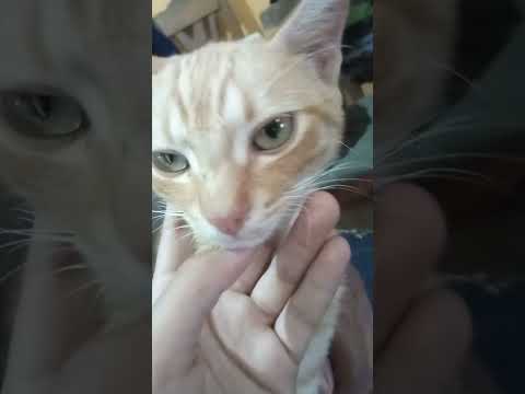 15 de septiembre de 2022