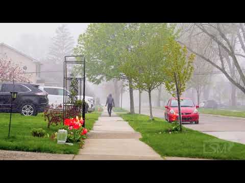 05-08-2020 Royal Oak, MI - Rare Record-Breaking May Snowfall