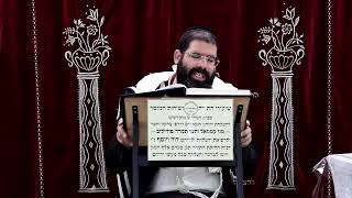 זבחים דף כ"ב ע''א ¤ הרב נתנאל אברז'ל ¤ בית הכנסת "בית מרדכי" (מוסדות תורת דוד) - התמונה מוצגת ישירות מתוך אתר האינטרנט יוטיוב. זכויות היוצרים בתמונה שייכות ליוצרה. קישור קרדיט למקור התוכן נמצא בתוך דף הסרטון