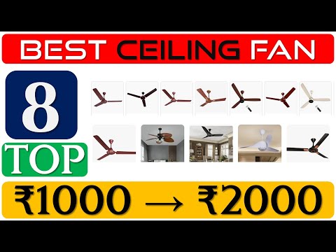 download lagu mp3 mp4 Fan Under 2000, download lagu Fan Under 2000 gratis, unduh video klip Fan Under 2000