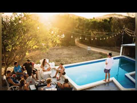 CERTAIN LAW - Nosh x Exautik Mixer