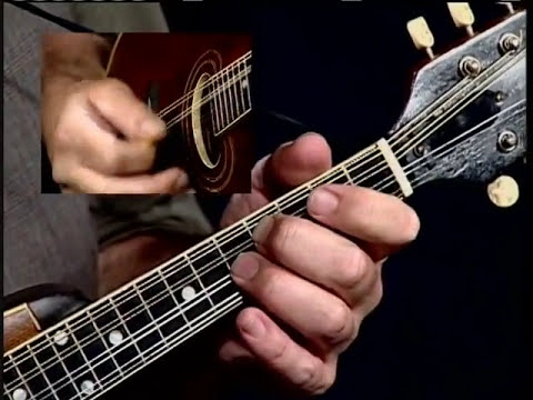 Learn to Play Blues Mandolin Video One by Steve James
