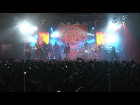 Afro-Latino Festival 2011 Bree (B): Juan Luis Guerra y 4.40 - La Bilirrubina - live