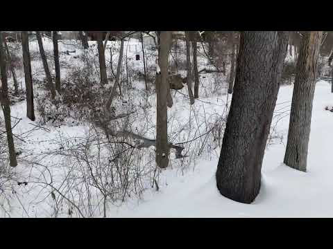 Snow in Harrisburg, PA February 2021