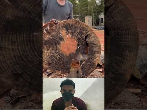 Gigantyczne wiertło rozłupuje kłody jak masło | Maszyna satysfakcjonująca