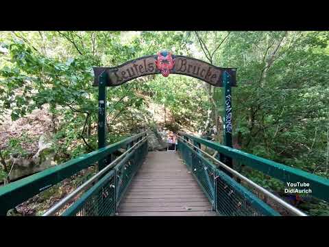 4 K Von Treseburg nach Thale. Eine super schöne Wanderung durch das wildromantischen Bodetal im Harz