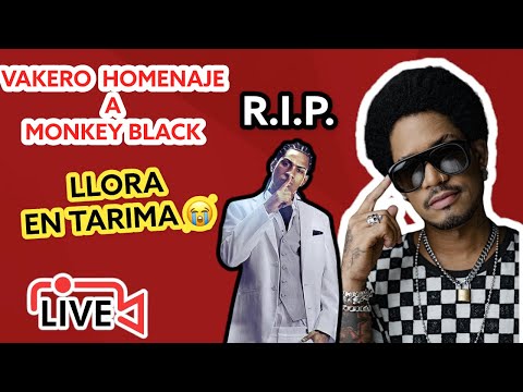 Vakero - homenaje a monkey black ( vakero muy triste)