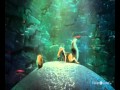 Ice Age 4 Film Kino Trailer Voll Verschoben