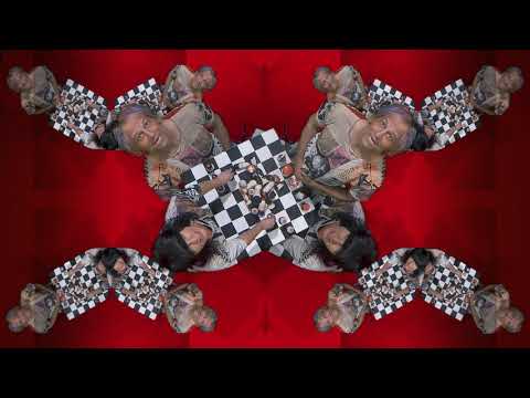 50 50 - Shellshag