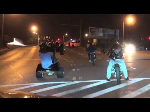 Wildout Wheelie Boyz Infamous! lor Dev