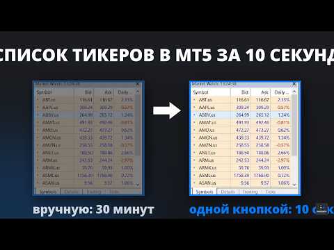 Video Market Watch Bulk Loader Starter