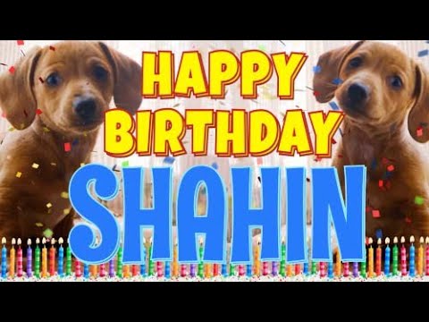 Happy Birthday Shahin! ( Funny Talking Dogs ) What Is Free On My Birthday
