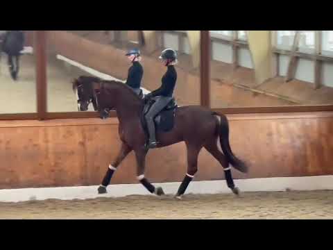 Trainingsimpressionen von Venido