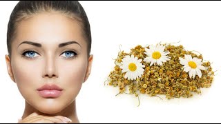تعرفي على استخدامات البابونج المختلفة للعناية بجمالك تعرفي على استخدامات البابونج المختلفة للعناية بجمالك