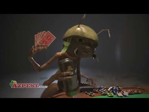 Videos from Arizona Pest Control