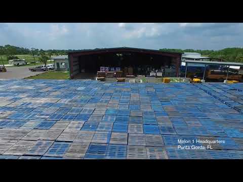 download lagu mp3 mp4 Watermelon Suppliers In Florida, download lagu Watermelon Suppliers In Florida gratis, unduh video klip Watermelon Suppliers In Florida