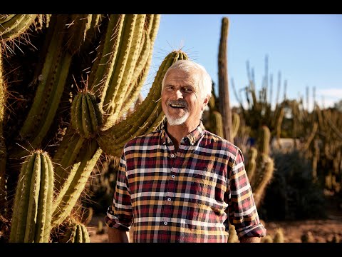 Cactus Country