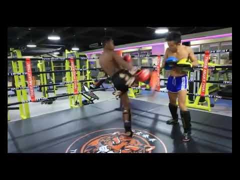 ~子甄彣璟~BN手靶 拳靶 跆拳道靶 散打靶 拳擊 腳靶 泰拳用品 踼靶 弧形靶 拳擊手套 武術用品 重量訓練