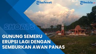Gunung Semeru Erupsi Lagi, Semburan Awan Panas Mengarah ke Sisi Kobokan Kecamatan Candipuro