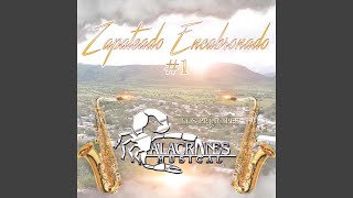 Zapateado Encabronado Lyrics