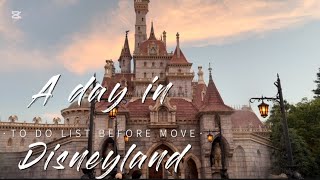 2025年ディズニーランド
