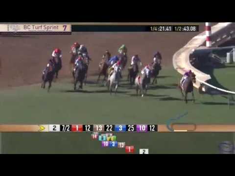 2016  Breeders Cup Turf Sprint Gr 1 - Obviously (IRE) - Santa Anita Park