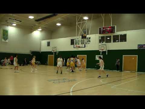 The Sheffield College vs Nottingham Academy Wildcats Highlights