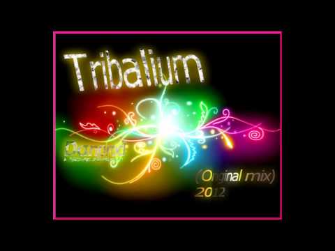 Tribalium-Danprod(original mix) Dj&producer